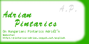 adrian pintarics business card